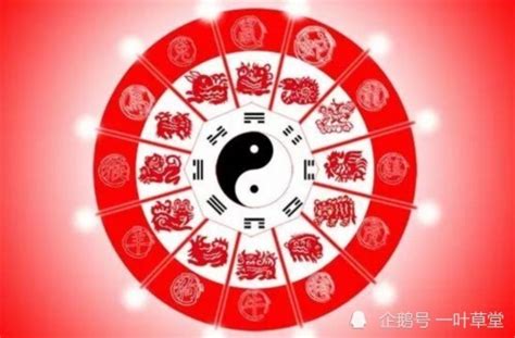 寅午|浅谈一下地支暗合